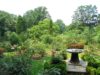 Červencová zahrada nejen ve znamení sklizně, ale také hnojení, zálivky a boje proti mšicím